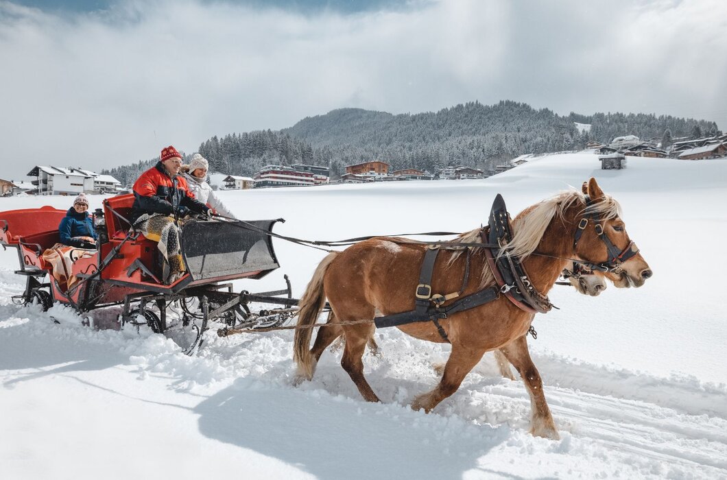 Winterliche Pferdekutschenfahrt | © Mathäus Gartner