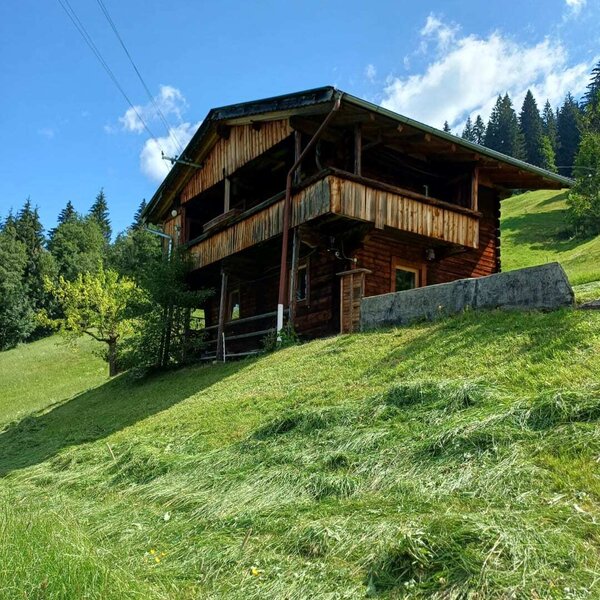 La rustica Alm sorge su un soleggiato pendio erboso, circondata da boschi verdi sotto un cielo azzurro.