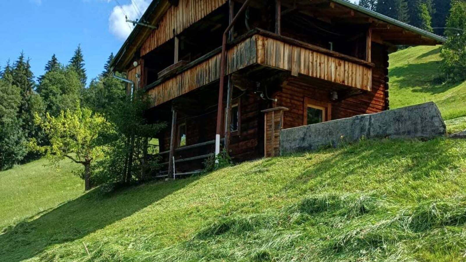 La rustica Alm sorge su un soleggiato pendio erboso, circondata da boschi verdi sotto un cielo azzurro.