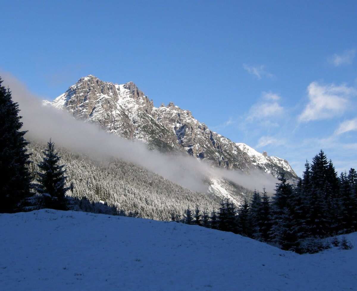 Vivere la natura fino in fondo. Berghof am Schwand, passeggiata sulla neve