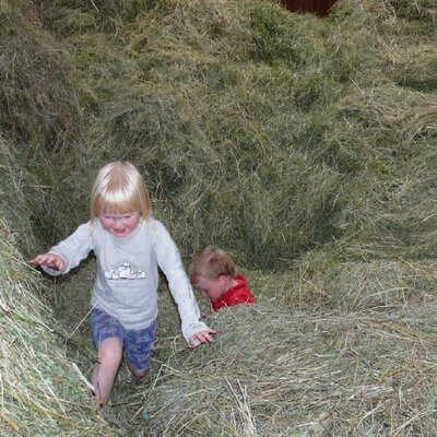 Riserva di foraggio per i nostri animali, ci piacerebbe trasmettere loro questo valore con tutti i sensi, dal seme d'erba alla mangiatoia, Biohof-Inntalblick
