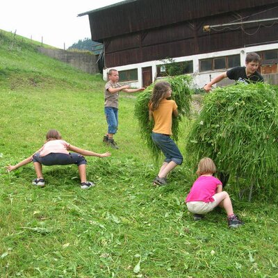 Raccogliendo l'erba per le mucche...