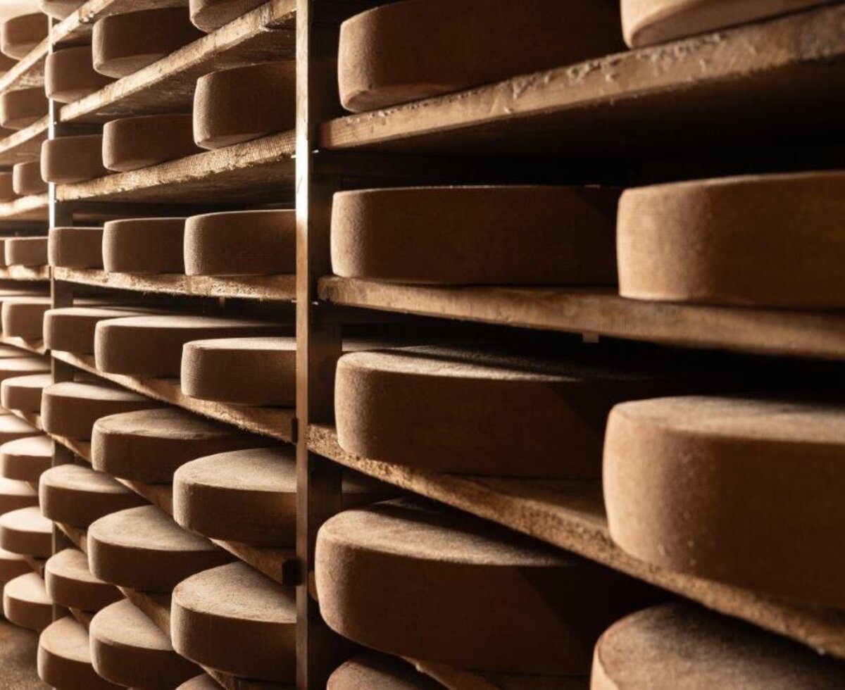 Formaggio d'alpeggio tradizionale stagionato su rustici ripiani in legno.