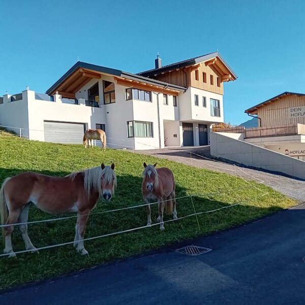 Vista esterna della Ferienwohnung con un negozio della fattoria adiacente e cavalli nel prato.