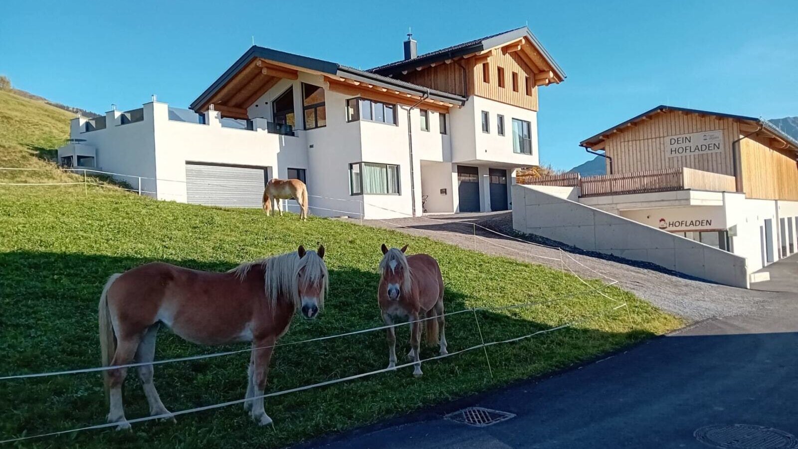 Vista esterna della Ferienwohnung con un negozio della fattoria adiacente e cavalli nel prato.