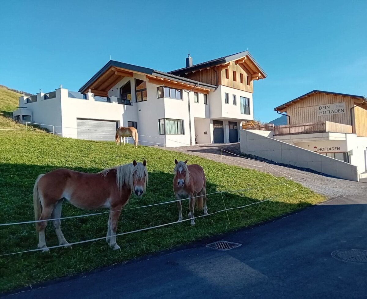 Vista esterna della Ferienwohnung con un negozio della fattoria adiacente e cavalli nel prato.