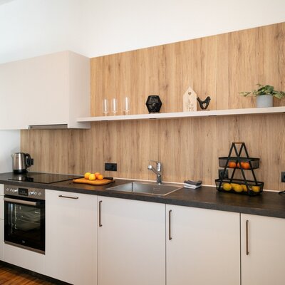 Cucina moderna dell'appartamento vacanze con forno, piano cottura a induzione, lavello, frigorifero, bollitore e macchina da caffè.