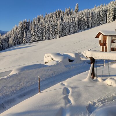 Paesaggio invernale dell'Alm con alberi coperti di neve e una casa sotto un cielo azzurro.