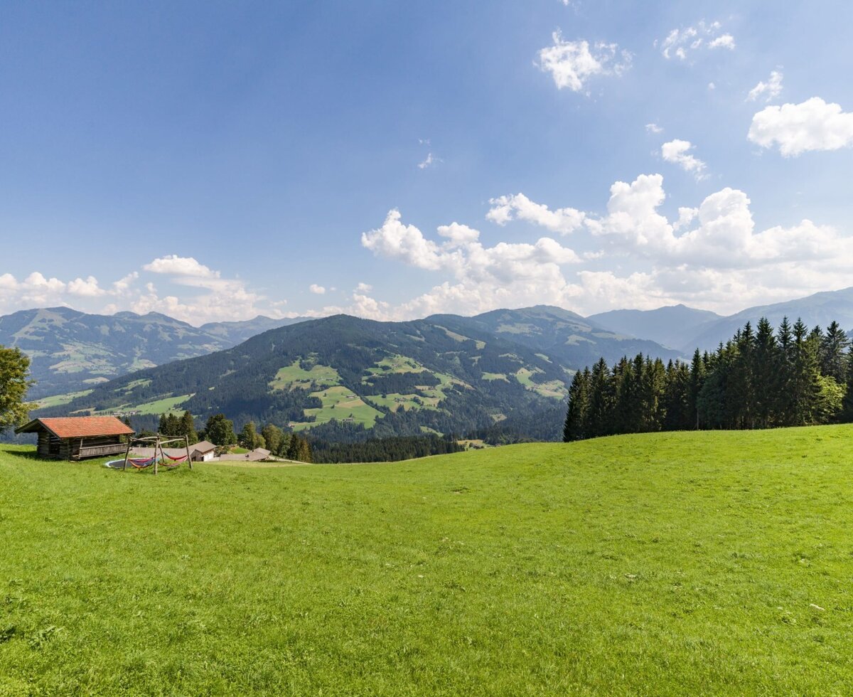 Vista dalla Flecklhütte con un ampio prato verde, una capanna di legno con amache e vista sulle montagne.