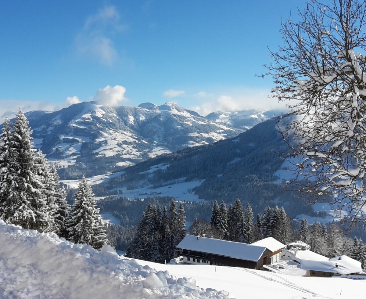 Paesaggio invernale intorno all'Alm, circondato da alberi e montagne innevate.