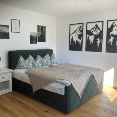 Un'accogliente camera doppia del bed and breakfast con un comodo letto a sommier, eleganti decorazioni murali e un luminoso pavimento in legno.