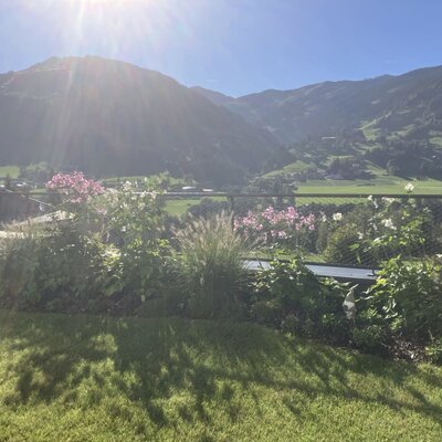 Il soleggiato giardino del bed and breakfast con un prato curato e vista panoramica sulle montagne.