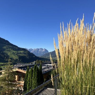 Una vista panoramica dal balcone del bed and breakfast sulle colline verdi e sulle vette montuose in lontananza.