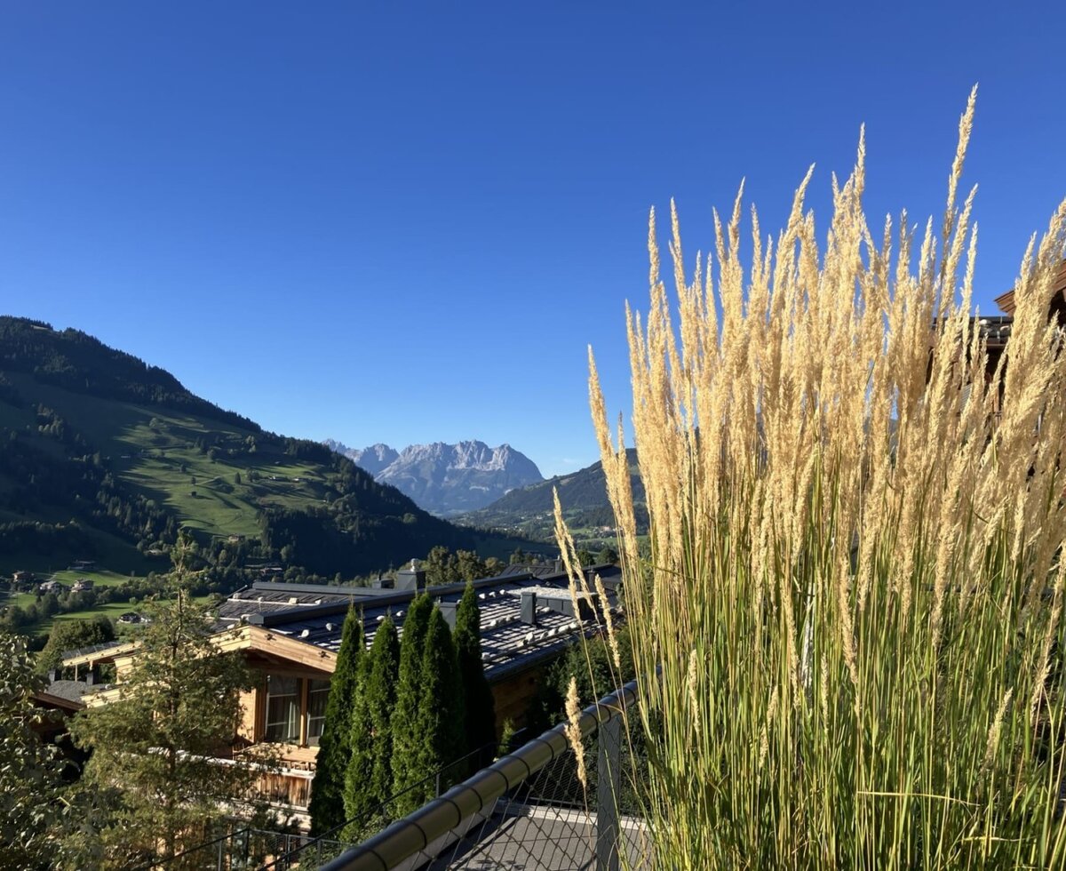 Una vista panoramica dal balcone del bed and breakfast sulle colline verdi e sulle vette montuose in lontananza.