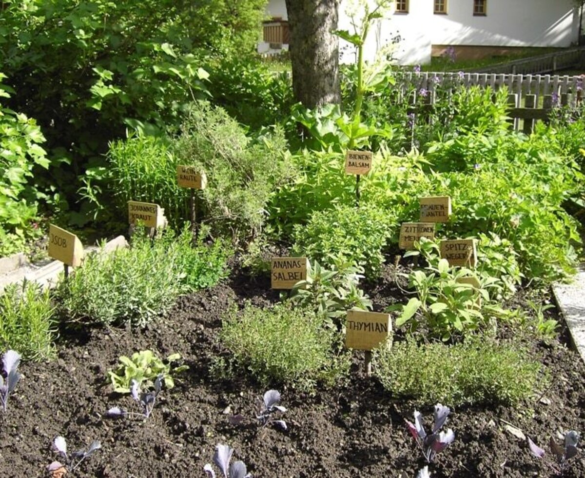 Il giardino degli aromi