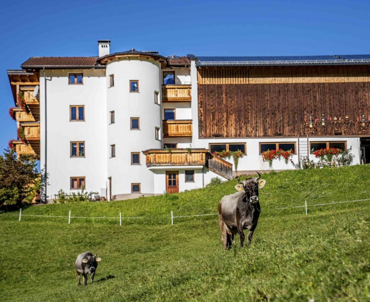 Il Bauernhof con facciata bianca, balconi in legno e una sezione fienile, situato su un pendio verde con mucche al pascolo.