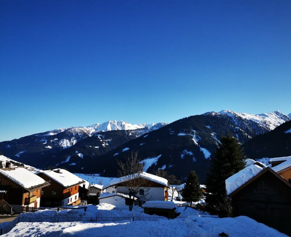 Vista dalla reception