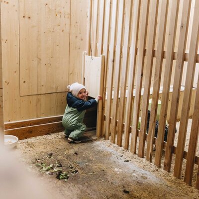 Un bambino guarda in una stalla per animali della fattoria.