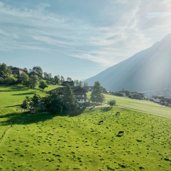 Ladestatthof in estate
