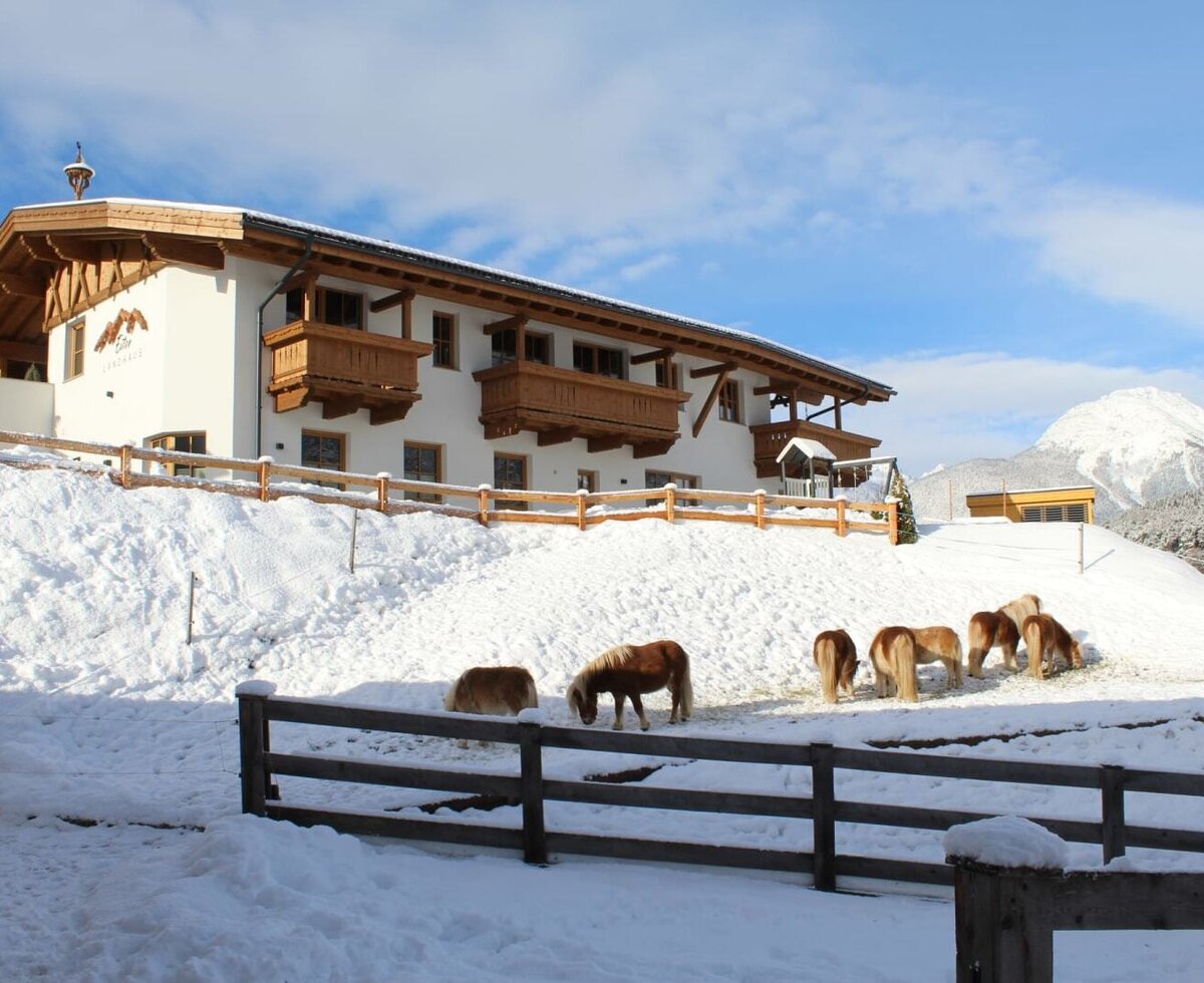 Gli Appartements con architettura tradizionale in legno, balconi e vista sul paesaggio innevato con cavalli.