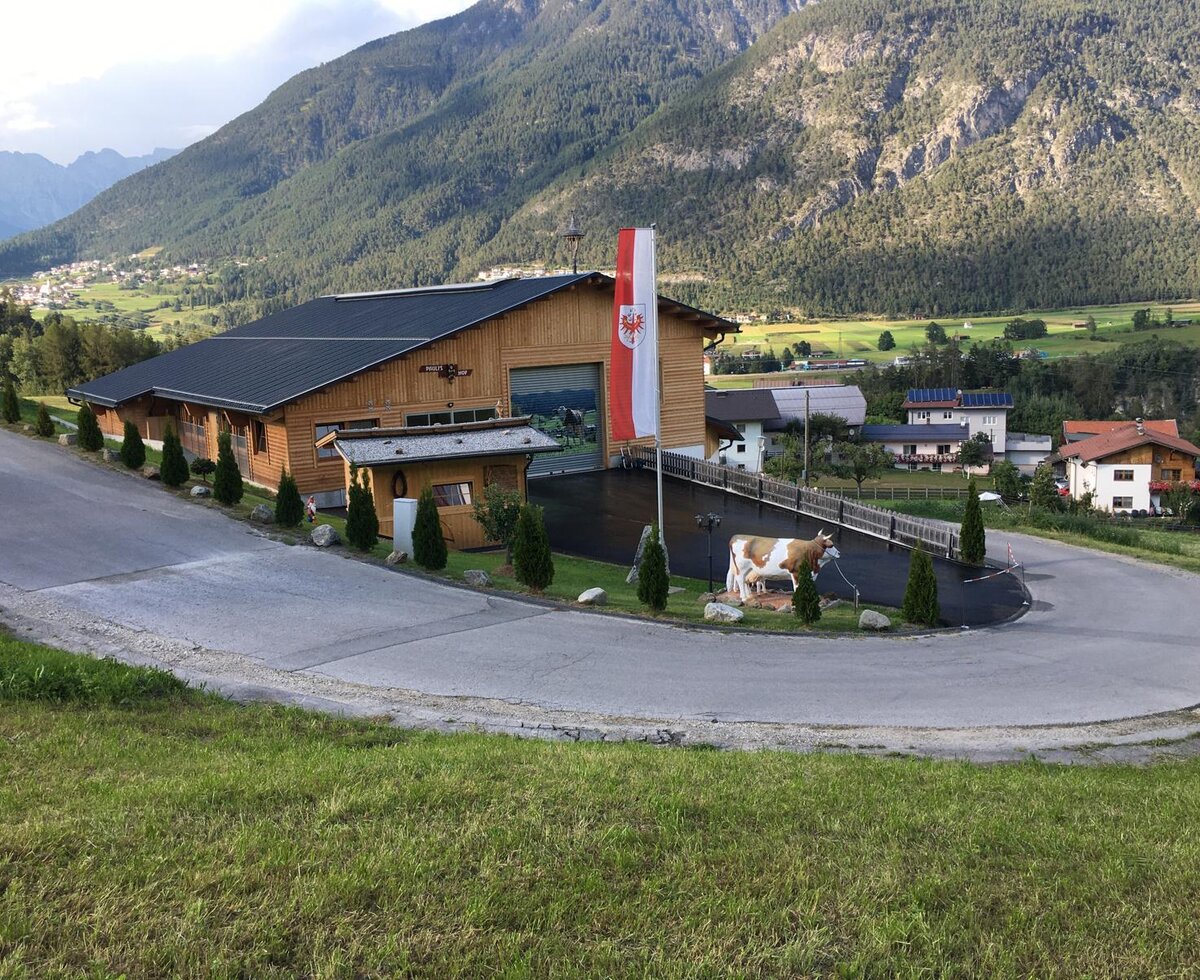 Vista esterna degli Ap­par­te­ments con facciata in legno, circondati dalle montagne, inclusa la strada di accesso, la bandiera austriaca e una statua di mucca.