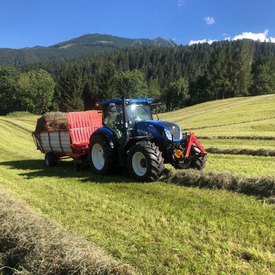 Un trattore blu che raccoglie il fieno in un campo, circondato da montagne e foreste, nei dintorni rurali degli Ap­par­te­ments.