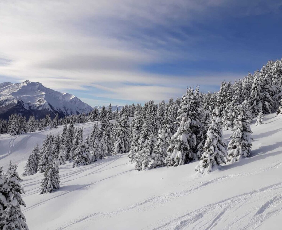 Paesaggio montano invernale con alberi innevati e tracce di sci, che mostra le aree sciistiche vicino all'agriturismo.