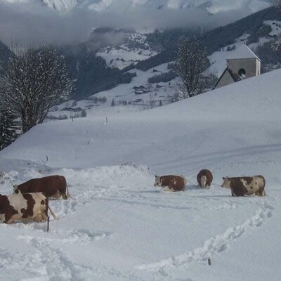 Inverno