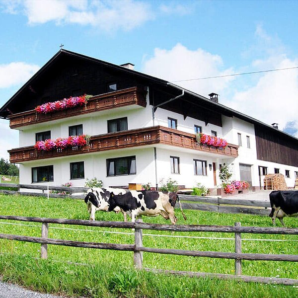 La fattoria d'estate