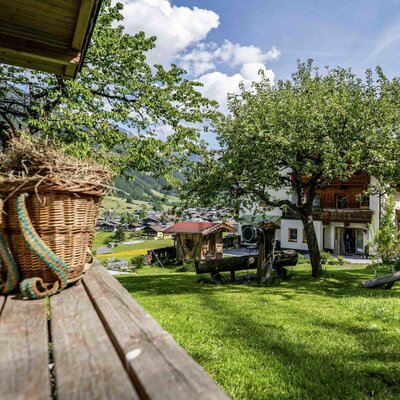 L'invitante giardino del agriturismo con un prato verde e rigoglioso, alberi ombreggianti e una vista panoramica sulla campagna.