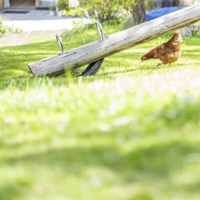 L'invitante area giochi dell'agriturismo, con un'altalena a bilico in legno su un prato soleggiato dove razzolano le galline.