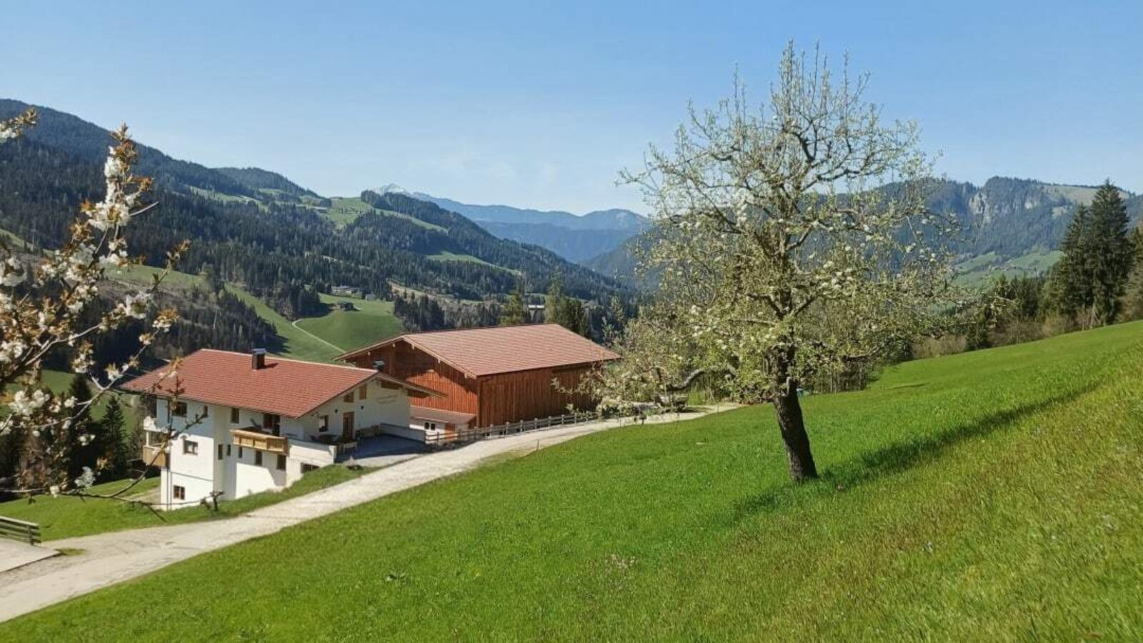 Esterno del Bauernhof, circondato da prati verdi e con vista sulle montagne.