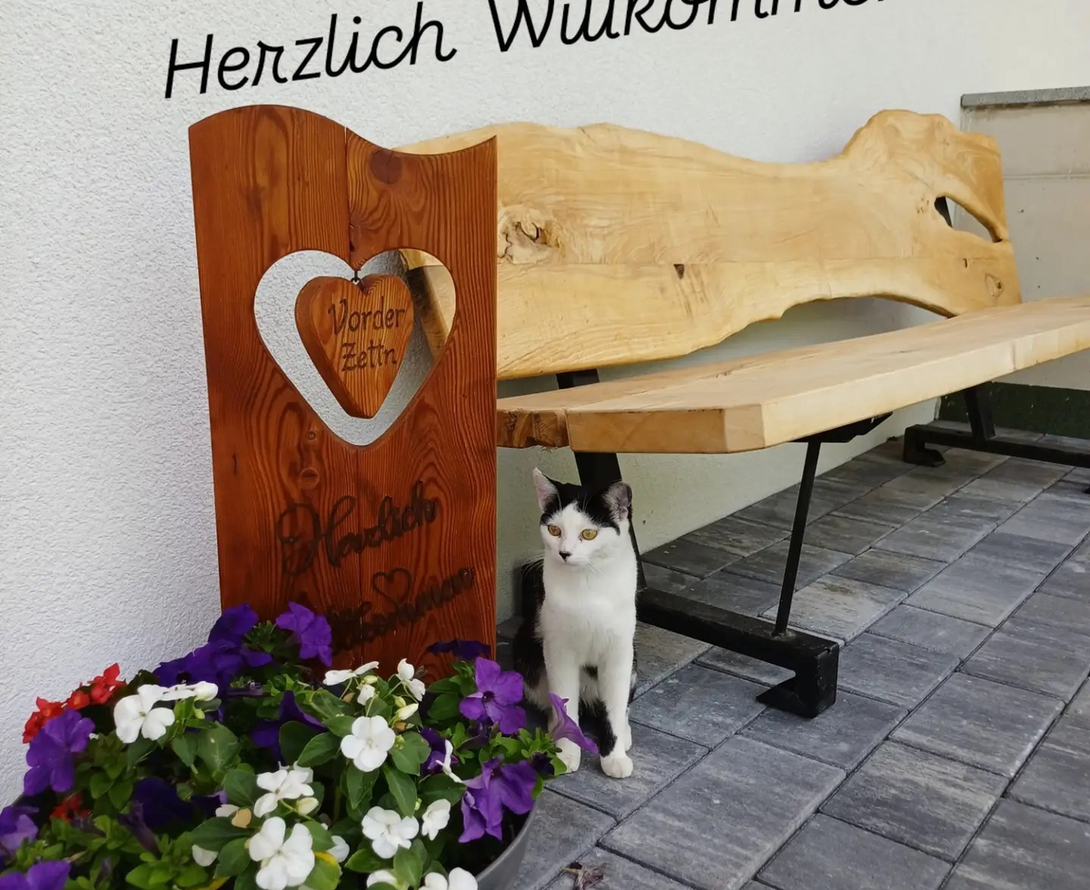 Un invitante ingresso dell'agriturismo con una rustica panchina in legno, fiori colorati e un simpatico gatto.