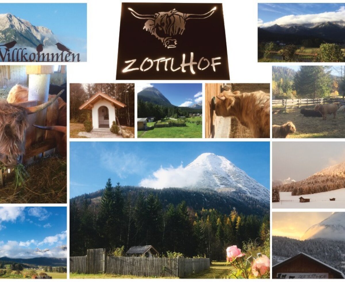 Un suggestivo collage che mostra i pelosi bovini delle Highlands e i pittoreschi dintorni montani degli appartamenti.